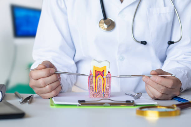 Best Emergency Dental Care for Abscessed Tooth in Hearne, TX